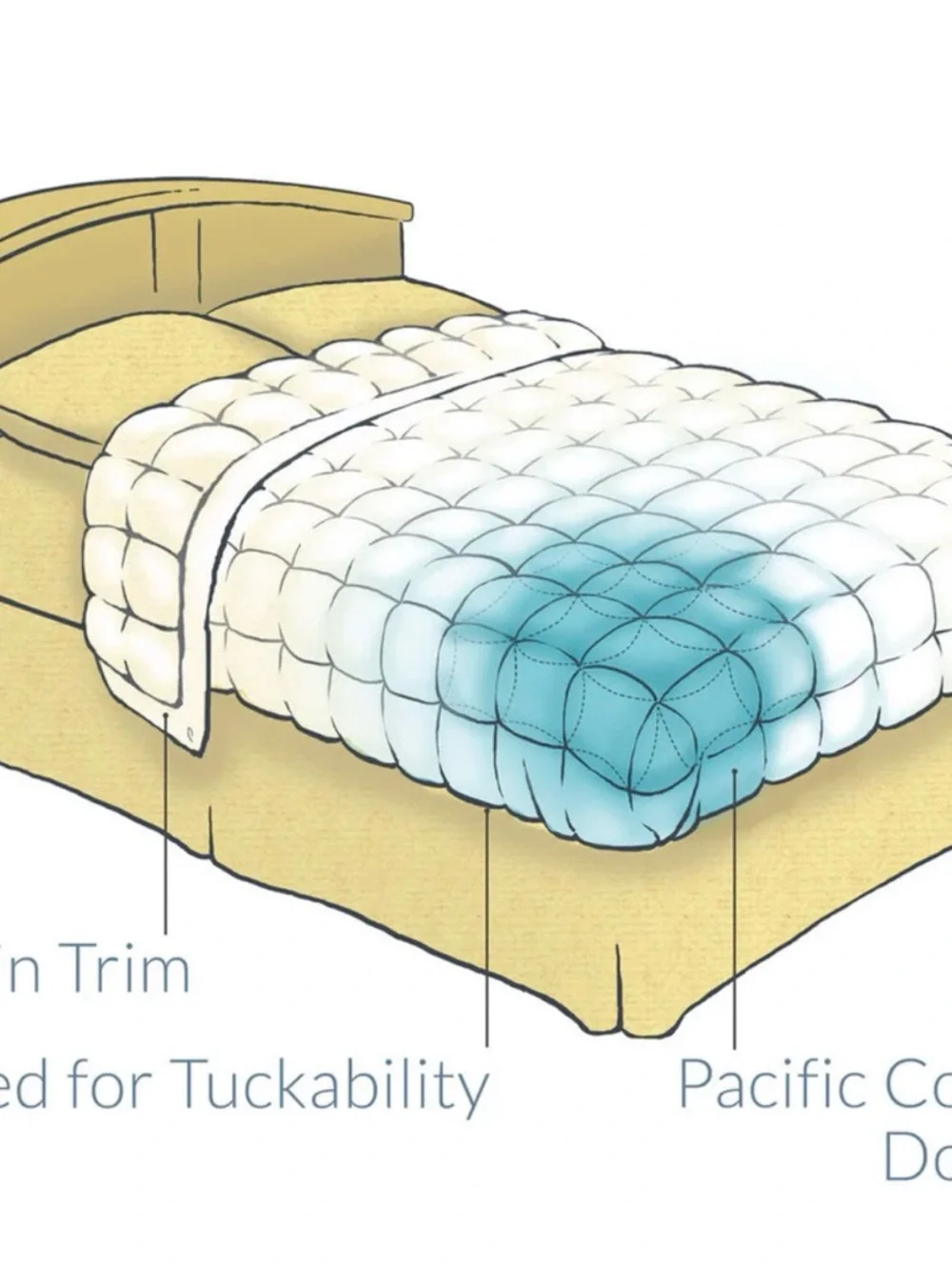 PACIFIC COAST WHITE GOOSE DOWN BLANKET SATIN TRIM LIGHT WEIGHT HYPOALLERGENIC!